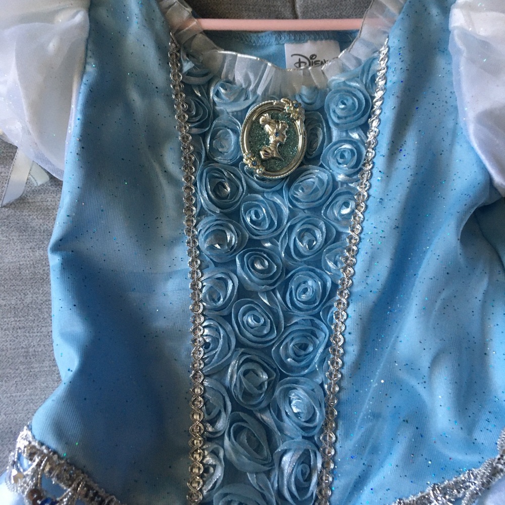 Cinderella Dress